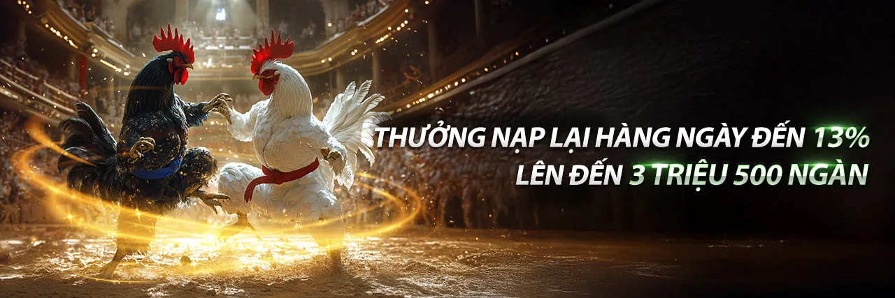 Tin tức mới nhất về Q99 Nhà Cái 2026
